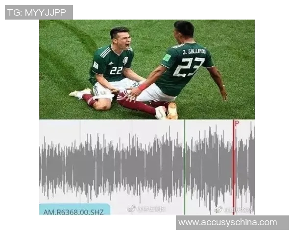 卡帕尼尼足球肥包独特魅力揭示与收藏价值分析